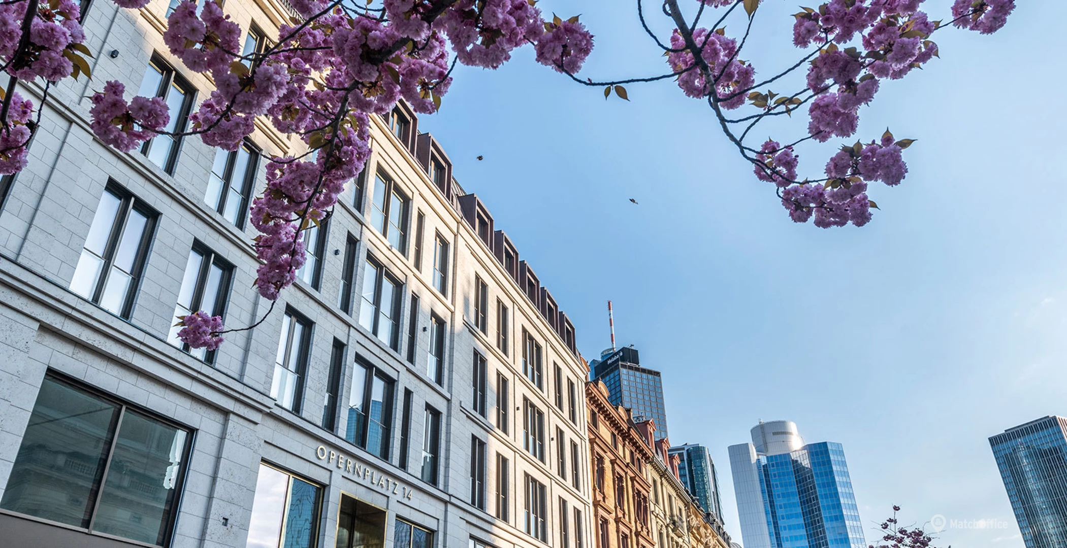 Büro mieten in Wien, Graz oder Linz: Die besten Standorte für Unternehmen